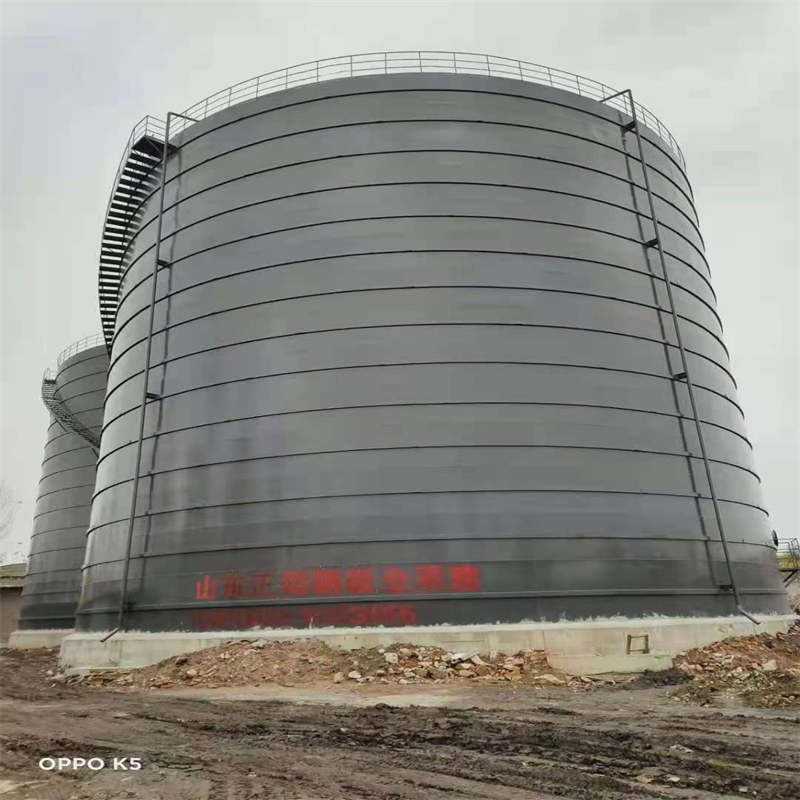 新盈镇3万吨大型钢板库