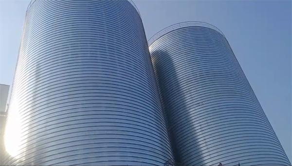 新盈镇2座混凝土高架卷板仓